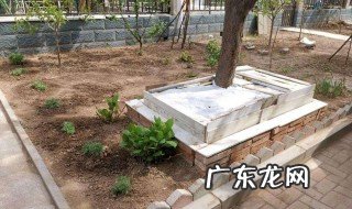 怎样沤鱼肠 怎么沤鱼肠液肥