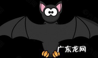 蝙蝠在家窗户上有什么征兆 蝙蝠在家窗户上有什么征兆吗