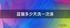 蓝猫多少天洗一次澡 蓝猫大概多久洗一次澡