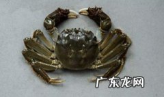 家养河蟹吃什么能养活 河蟹吃什么能养活