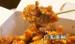 怎样炸鸡肉丝才好吃 怎样炸鸡肉丝