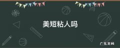 美短粘人吗还是英短 美短粘人吗