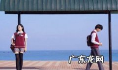 我的刺猬女孩哪个电视台播 我的刺猬女孩哪个电视台播放