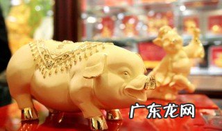 2022年属猪人的每月运势 属猪的2020年五月份运势