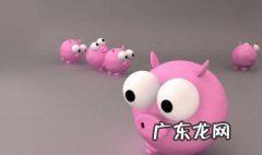 属猪2020年6月运势 生肖猪2021年6月运势