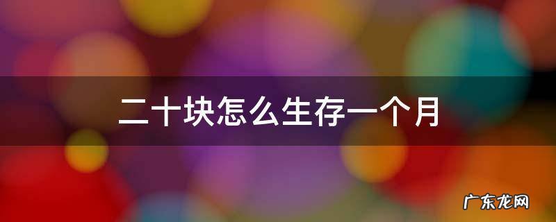 如何用二十块钱活一个月 二十块怎么生存一个月