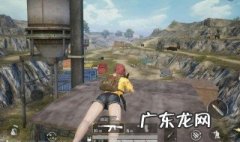 和平精英中的打野是什么意思 和平中的打野是什么意思