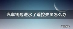 车钥匙被洗衣机洗了怎么办 汽车钥匙进水了遥控失灵怎么办