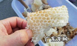 蜂蜡能吃吗 蜂蜡能吃吗嚼不烂好向有东西这是真的吗
