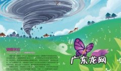 什么是蝴蝶效应 什么是蝴蝶效应 百度网盘