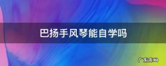 巴扬手风琴能自学吗 巴扬手风琴自学难吗