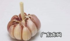独蒜为什么那么贵 独蒜为什么不生芽
