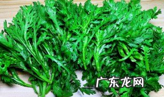 什么人不能吃茼蒿 什么人不能吃茼蒿尿酸高能吃吗?
