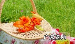 野餐带什么 野餐带什么好吃的方便