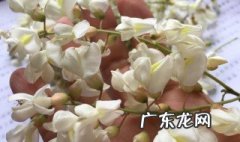 槐花怎么保存到冬天吃 槐花怎么保存