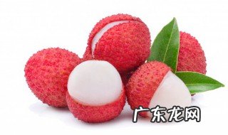 荔枝核的功效与作用 荔枝的功效与作用