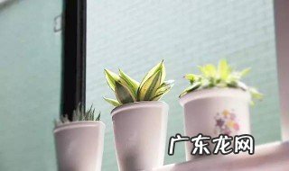 夏季降温小妙招图片 夏季降温小妙招