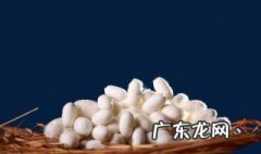 蚕茧怎么养得大 蚕茧怎么养