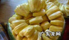切了菠萝蜜的刀怎么清洗 切了菠萝蜜的刀怎么清洗视频
