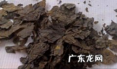 毛冬青的功效与作用 毛冬青的功效与作用及副作用