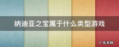 纳迪亚之宝属于什么类型游戏 纳迪亚之宝是电脑游戏吗