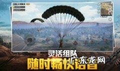 和平精英里的双排是什么 和平精英里的双排是什么段位