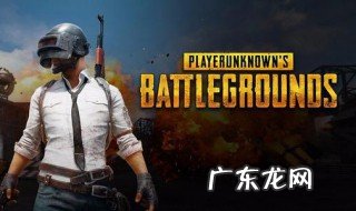 和平精英的打野是什么意思 和平精英的打野是什么意思呀