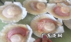 生扇贝怎么洗干净 生的扇贝怎么做好吃