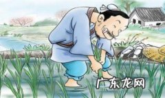 拔苗助长的意思是什么呢 拔苗助长的意思是什么呀?