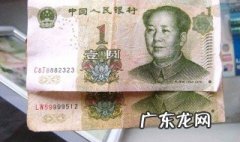 人民币的正面是什么花 人民币的正面是什么花纹图片