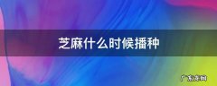芝麻什么时候播种 芝麻什么时候播种最好