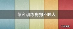 怎么训练狗狗不咬人不咬东西 怎么训练狗狗不咬人