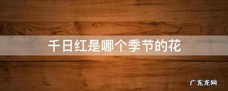 千日红是哪个季节的花 千日红是几年生植物