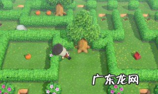 动森五一活动迷宫能重头来吗 动森五一活动迷宫攻略