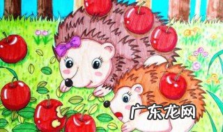 冬天怎么养刺猬 冬季怎么饲养刺猬