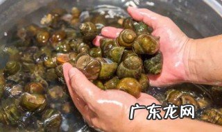 螺蛳怎么清洗 螺蛳怎么清洗才干净