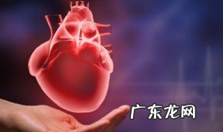 人体心脏在左边还是右边 心脏在左边还是右边