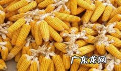 南方玉米什么时候播种 南方玉米什么时候播种?