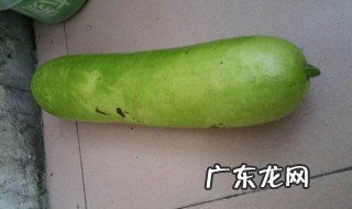 冬瓜和瓠子的区别 瓠瓜和冬瓜能一起吃吗