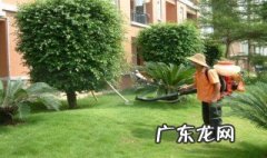 吸血臭虫怎么消灭 臭虫怎么消灭