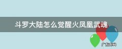 斗罗大陆怎么觉醒火凤凰武魂 斗罗大陆怎样觉醒武魂