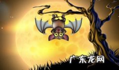 在家里看见蝙蝠怎么办 在屋里看见蝙蝠怎么办