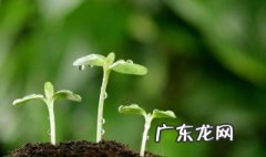 形容春天天气的成语四字成语 形容春天天气的成语