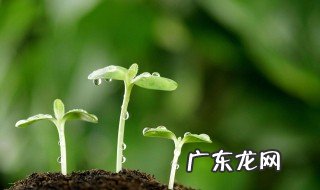 形容春天天气的成语四字成语 形容春天天气的成语