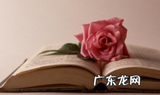 思乡之情的诗句 思乡之情的诗句初中