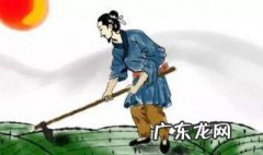 锄禾日当午全诗作者是谁 锄禾日当午全诗