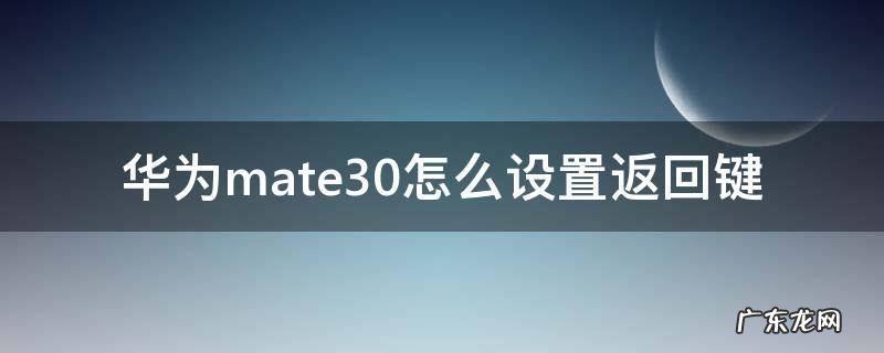 华为mate30怎么设置返回键 华为mate30怎么设置返回键隐藏