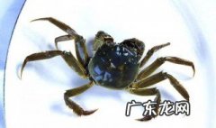 螃蟹会饿死吗 螃蟹会饿死吗还能吃吗