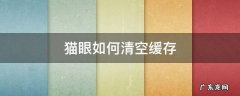 猫眼如何清空缓存 猫眼怎么卸除