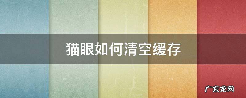 猫眼如何清空缓存 猫眼怎么卸除